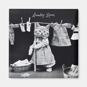 Magnet, Katt Hanging Tvätt Magnet