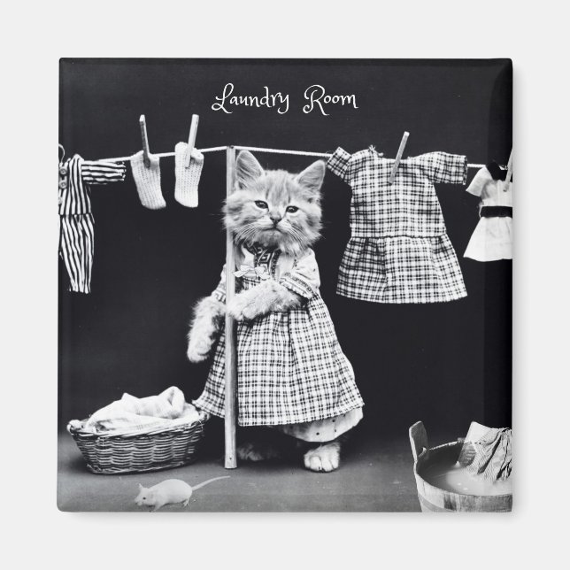 Magnet, Katt Hanging Tvätt Magnet (Framsidan)