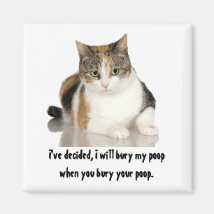 Magnet/katt som jag ska begraver poop, när du magnet