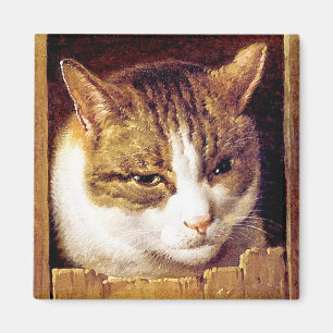 Magnet: "Katt som kikar till och med ett staket ", Magnet