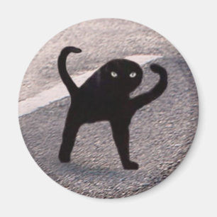 Magnet Kattmeme med förbannelse