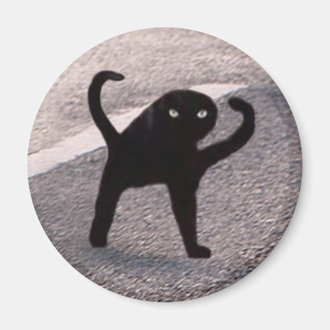 Magnet Kattmeme med förbannelse (Framsidan)