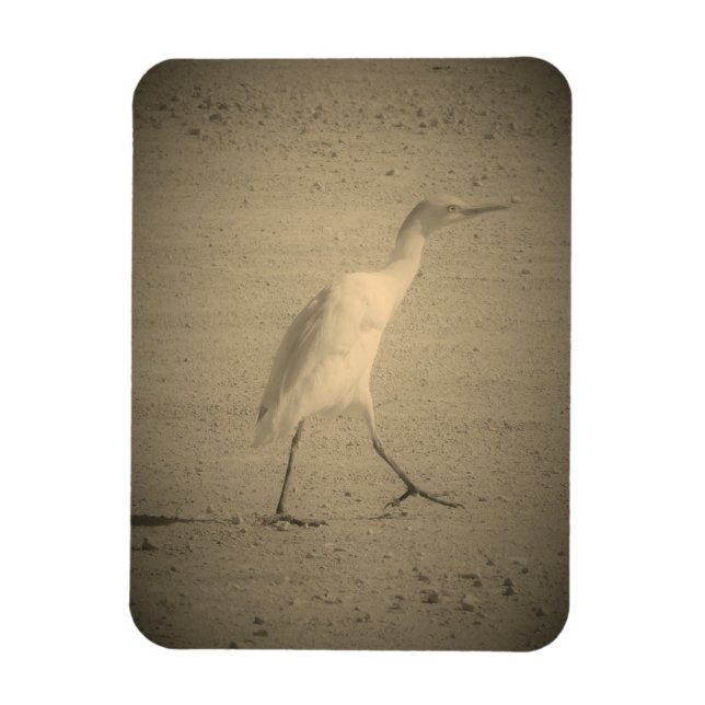 MAGNET KONST & DESIGN DEKORATION STILAR (Vertikal)