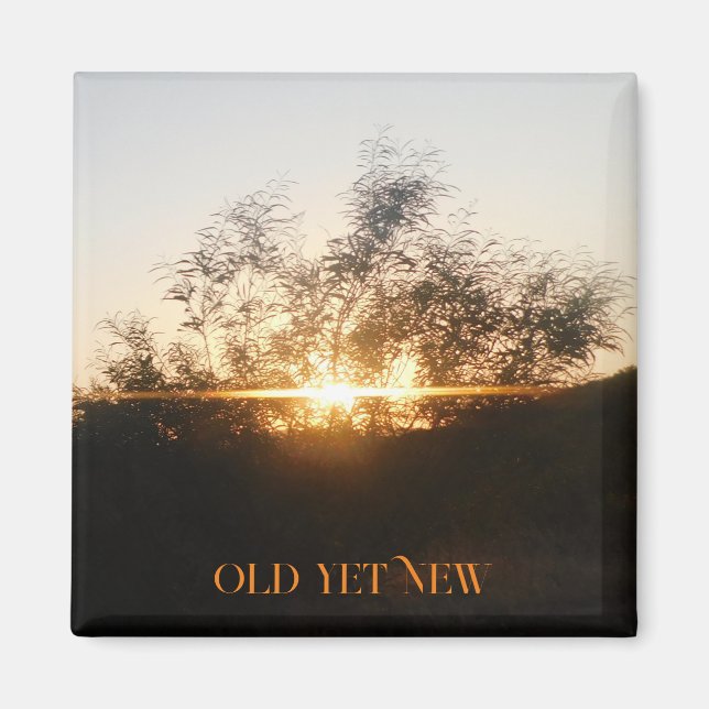 MAGNET KONST & DESIGN DEKORATIONSSTILAR (Framsidan)