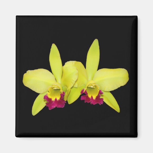 Magnet, kvadrat, 2 gult-grönt-cattleyas magnet (Framsidan)