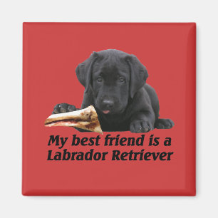Magnet "Labrador Retriever ",