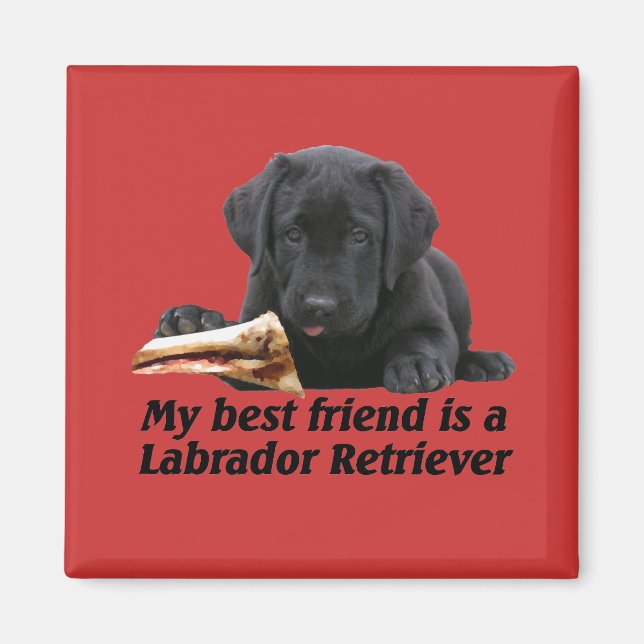 Magnet "Labrador Retriever" (Framsidan)
