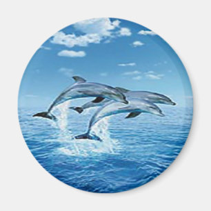 Magnet luft Dolphins