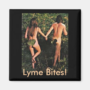 Magnet - Lyme bitor!