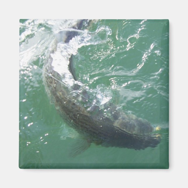 Magnet-mall Magnet (Framsidan)