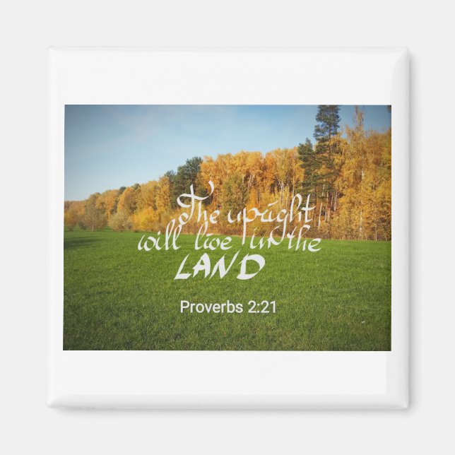 Magnet med en dubbelriktad versa (Framsidan)