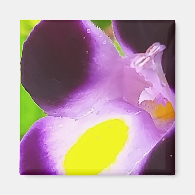 Magnet med en naturlig blomma (Framsidan)