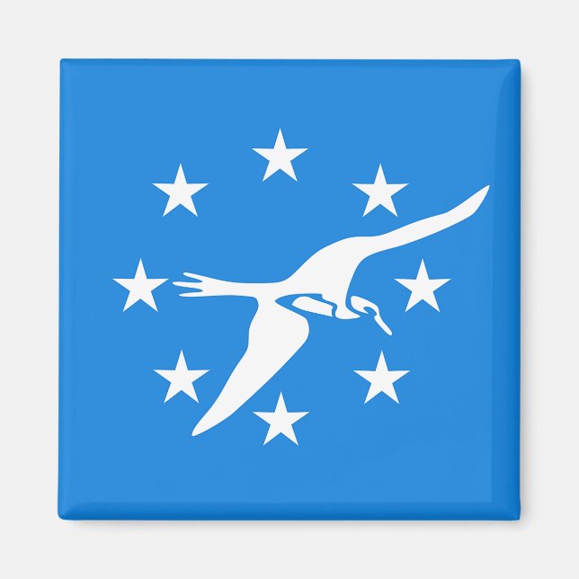 Magnet med Flagga av Corpus Christi, Texas, USA (Framsidan)