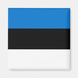 Magnet med Flagga av Estland