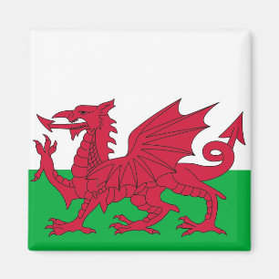 Magnet med flagga av Wales