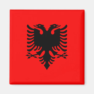 Magnet med Flagga i Albanien (Flamuri i Shqipërisë