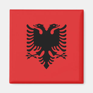 Magnet med Flagga i Albanien (Flamuri i Shqipërisë