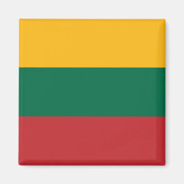 Magnet med Flagga i Litauen