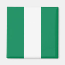 Magnet med Flagga i Nigeria
