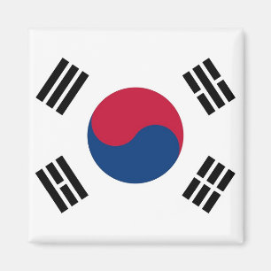 Magnet med Flagga i Sydkorea