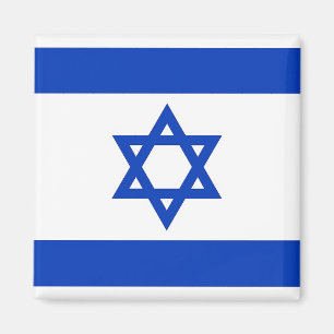 Magnet med Flagga Israel