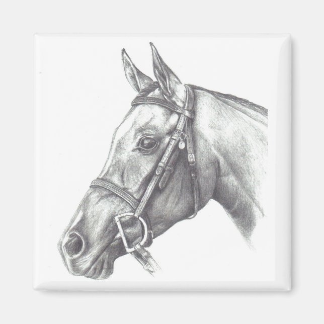 MAGNET MED HORSE HUVUD (Framsidan)