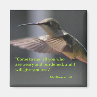 Magnet med hummingbird - ge vilar du