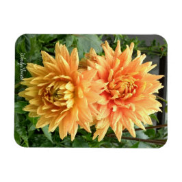 Magnet med orange dahlias med regndroppar