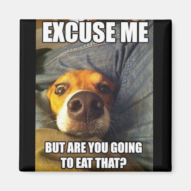 MAGNET MED ORD (Framsidan)