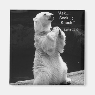 magnet med polar som ber, söker, knackar