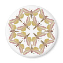 Magnet med vackra hökmånader