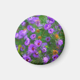  MAGNET mit lila Blumen