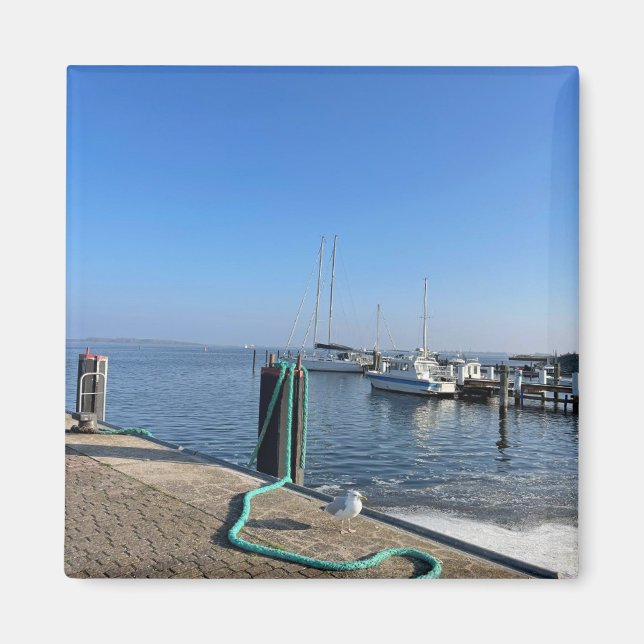 Magnet mit Möwe am Hafenufer (Framsidan)