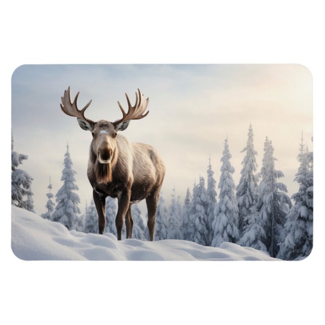 Magnet-Moose Magnet (Horisontell)