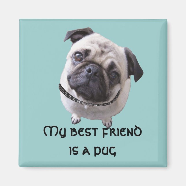 Magnet "Mops" (Framsidan)