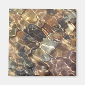 Magnet Nova Scotia småstarna under vatten