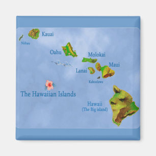 Magnet på Hawaiianska öar