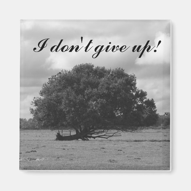 Magnet på livets träd-kvadrat (Framsidan)