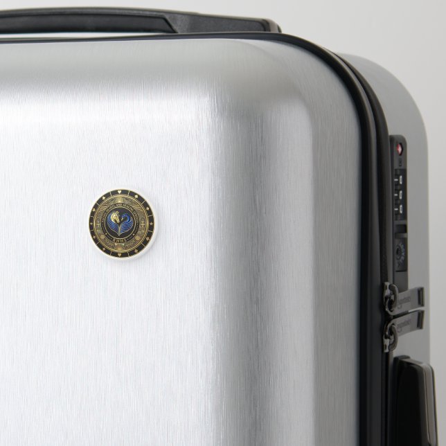 Magnet - Racing Hearts och Healing Springs (In Situ (Luggage))