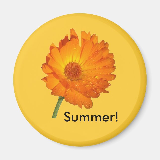 Magnet - Ringblomma på stjälk (Framsidan)