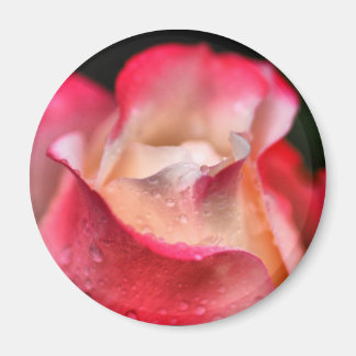 Magnet - Ro Bloom med droppar Vatten