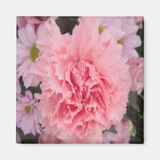 Magnet Rosa Carnation Beauty (Framsidan)