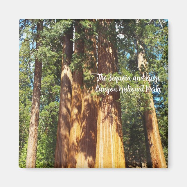 Magnet Sequoia och Kung Canyon National Parker (Framsidan)