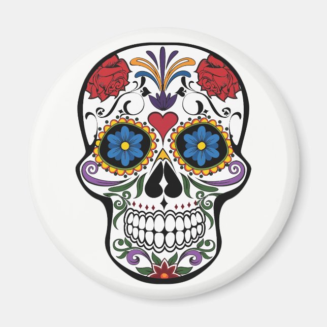 Magnet. Skeleton. Magnet (Framsidan)