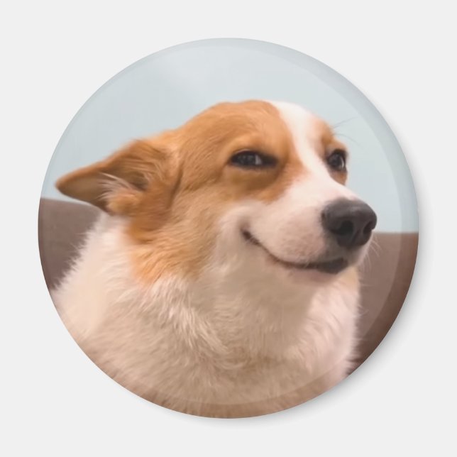 Magnet Smiling Corgi Meme (Framsidan)