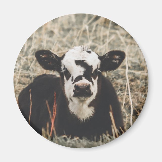 Magnet - Spring Calf (Framsidan)