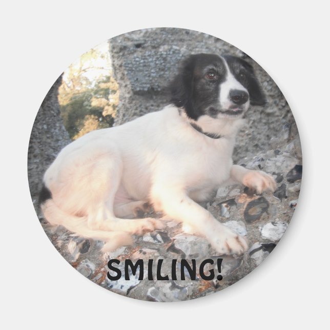 Magnet Sprollie VIsitting Castle Smiling (Framsidan)