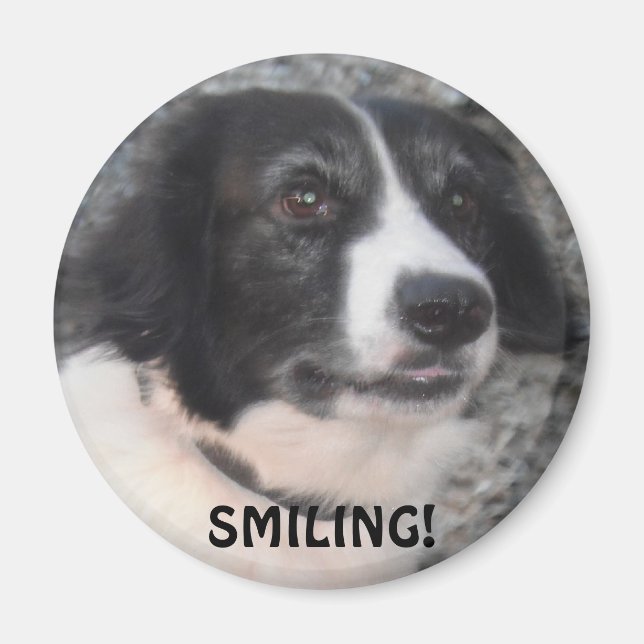 Magnet Sprollie VIsitting Castle Smiling (Framsidan)