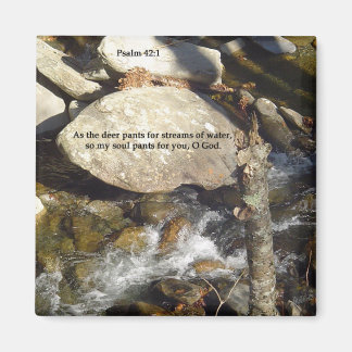 Magnet: Stream Psalm Magnet