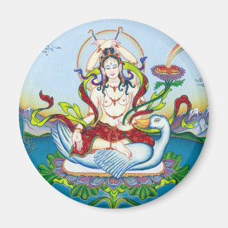 MAGNET Tara Skydda mot Poisons